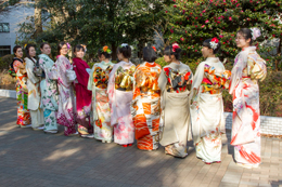 kimono tea class