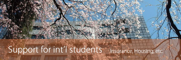 Support for international students