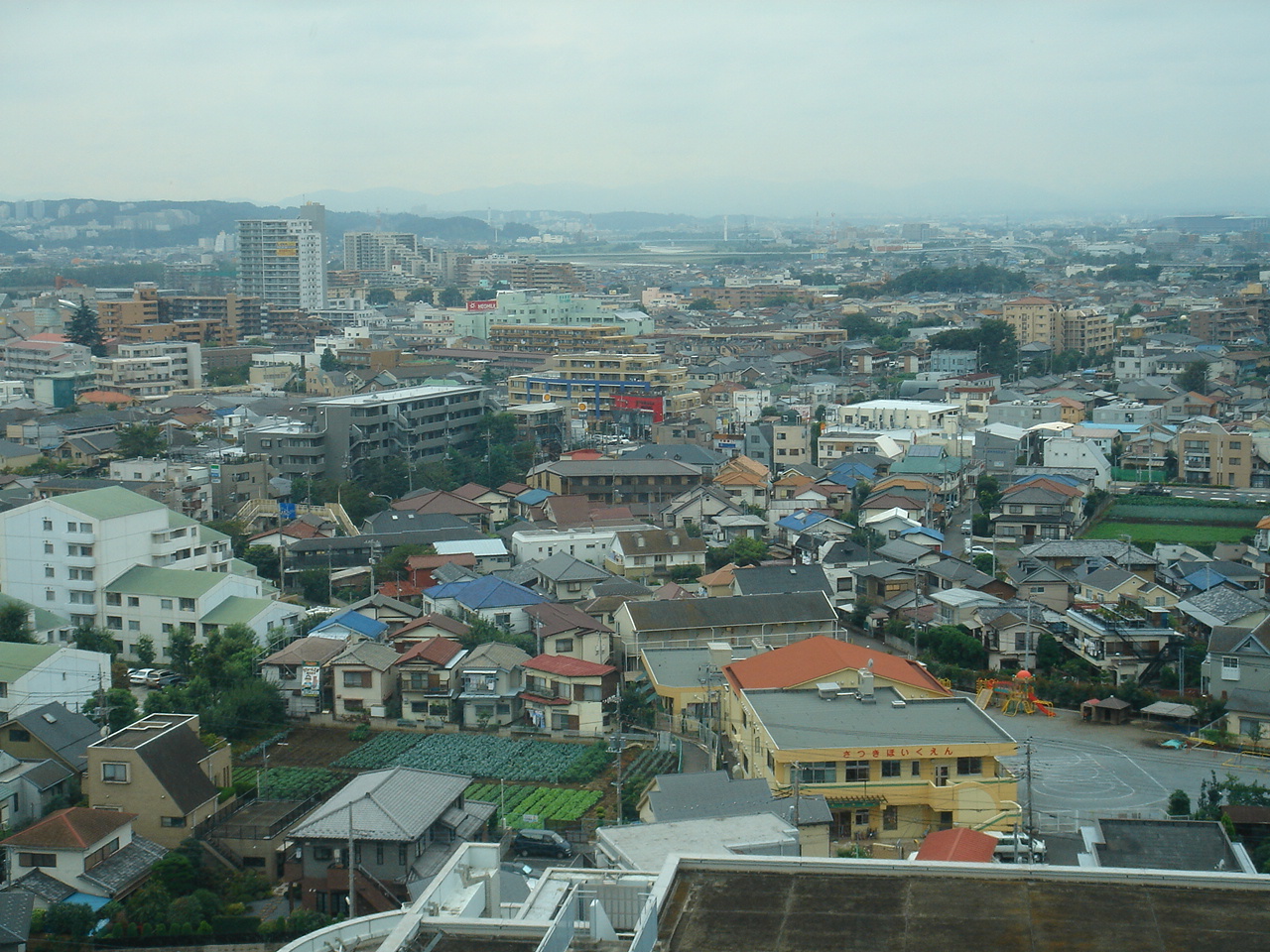 whole view