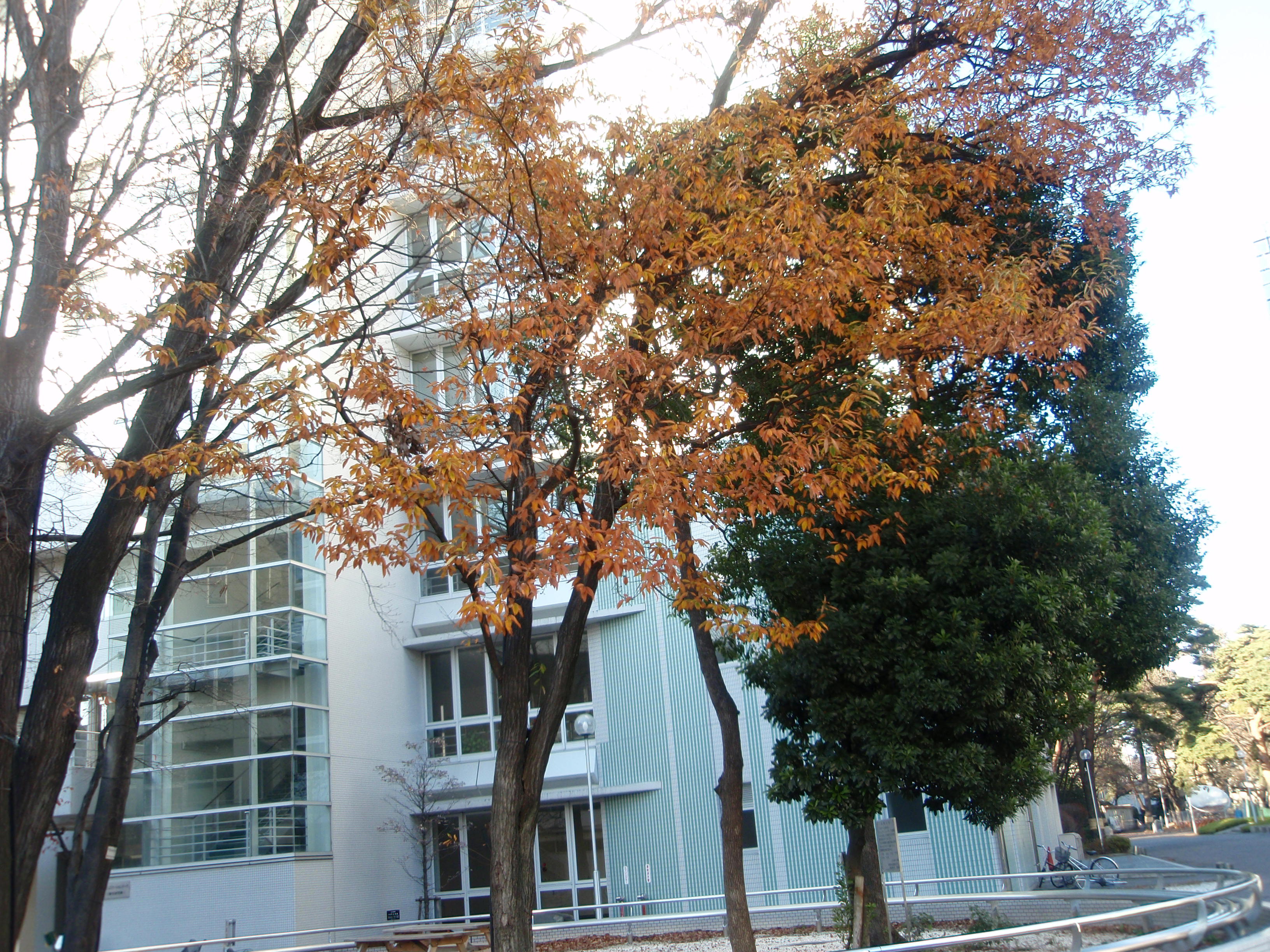 uec3