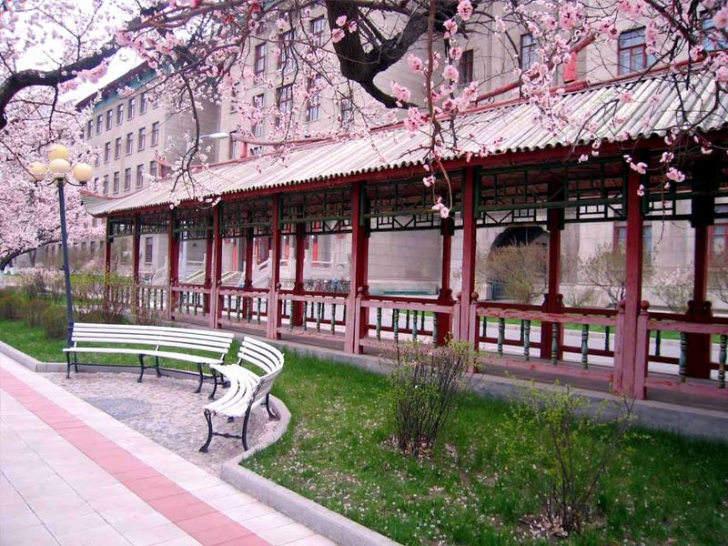 Home university