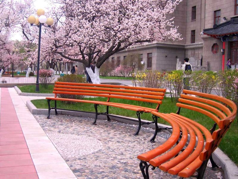 Home university
