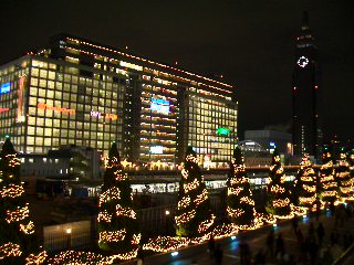 CIMG1104.JPG