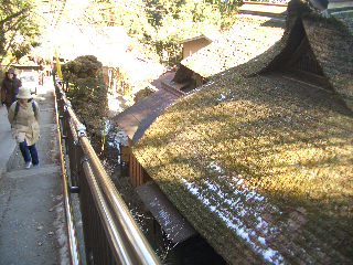 CIMG1643.JPG