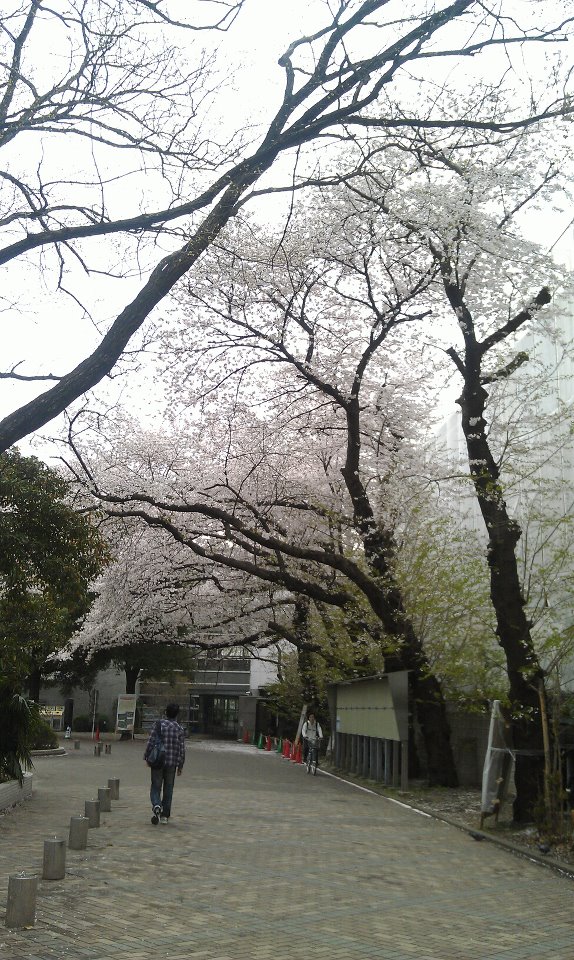 UEC