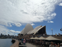 LY_sydney.png