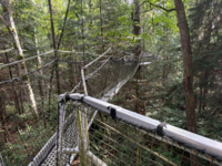 NR_UBCbotanicalgarden.png