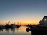 OT_StevesonHarbour.pngのサムネイル画像のサムネイル画像