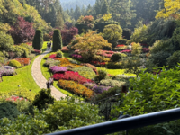 TR_ButchartGarden.png