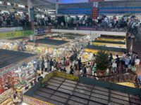 SG_market.png