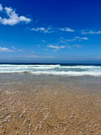 TN_beach.png
