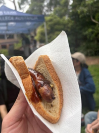 TN_hotdog.png
