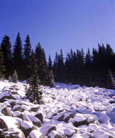 Pictures from Bulgarian mountains