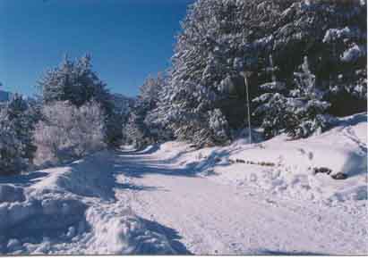 Pictures from Bulgarian mountains
