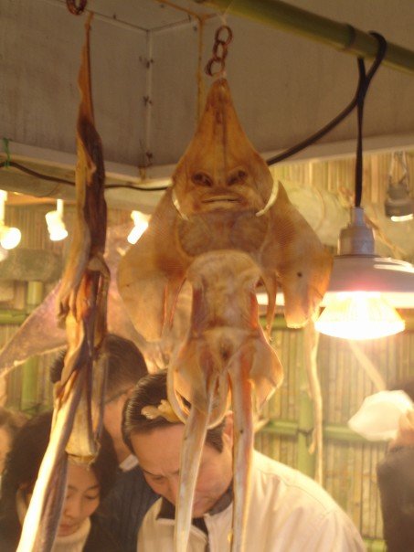 alien fish